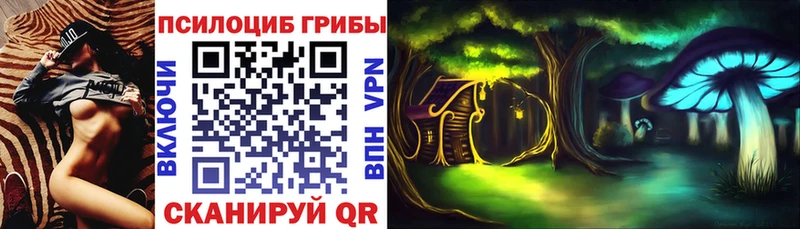 Галлюциногенные грибы Cubensis  Красный Холм 